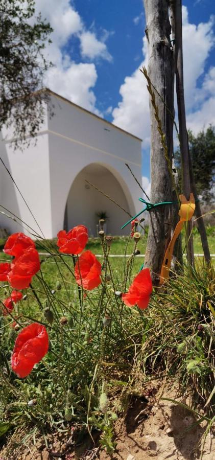 B&B Villa Bello Otranto Dış mekan fotoğraf